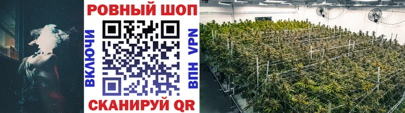 Какие есть наркотики Калачинск Кокаин  Бошки Шишки  Меф мяу мяу  Галлюциногенные грибы  МЕГА ТОР  ГАШ 