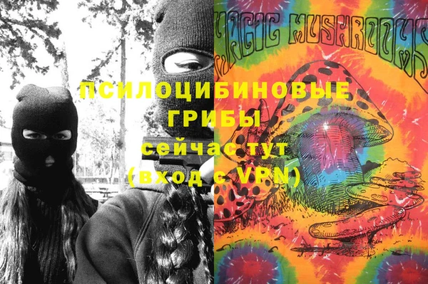 соль курить ск Верея